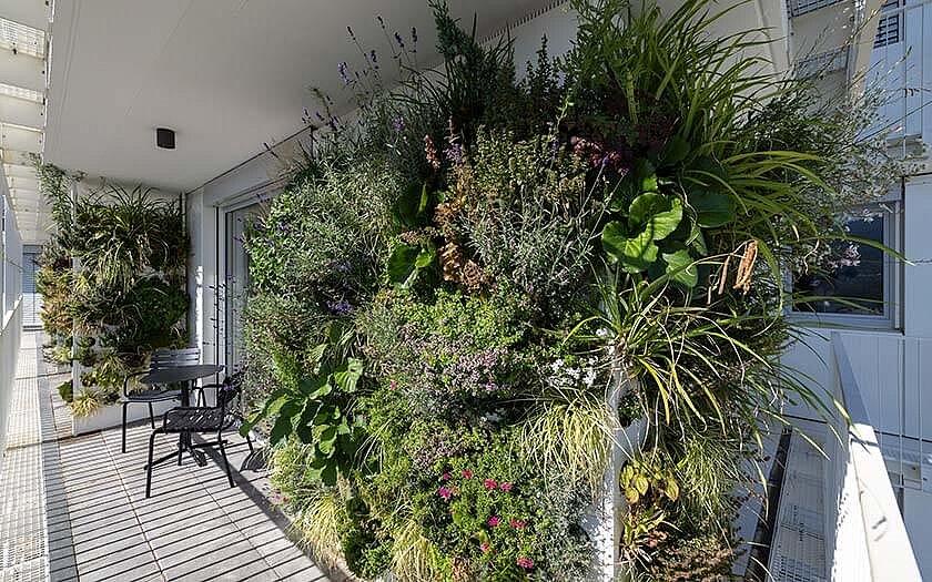 GCT: Balkonbegrünung